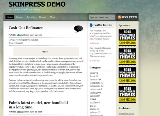 skinpress-grungie-wp-beautiful-wordpress-themes-2010