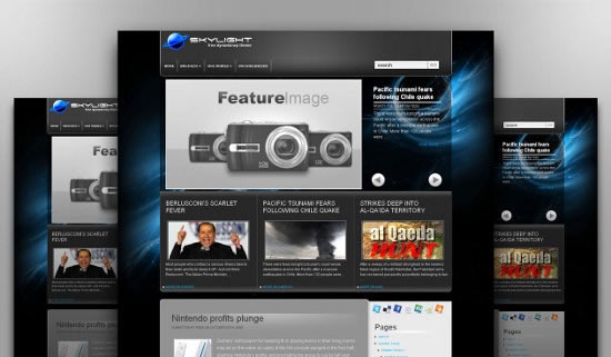 sky-light-beautiful-wordpress-theme-2010