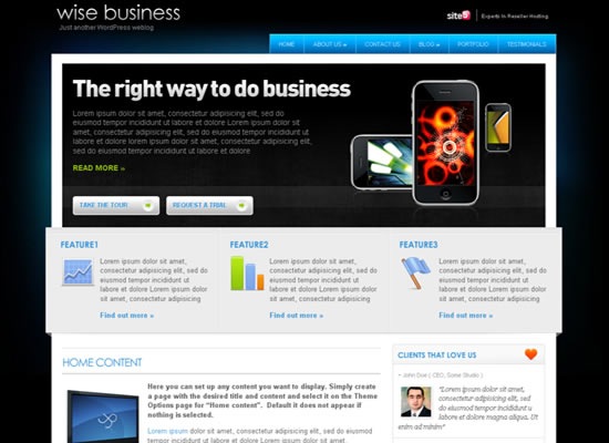 wise-business-beautiful-wordpress-themes-2010