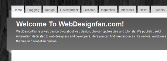 WebDesignFan