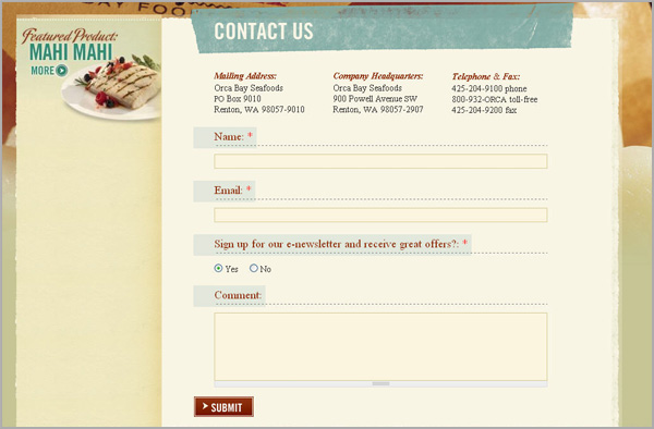 contact form design inspiration