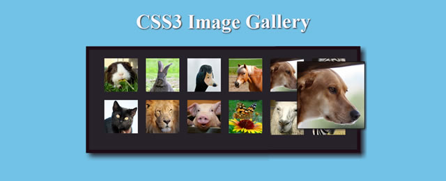 Fancy Image Gallery with CSS3