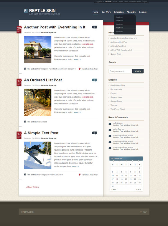 Plush-inspiration-wordpress-blog-designs