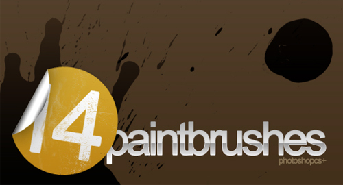 14 paint brushes