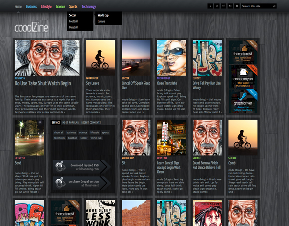 coolzine-wordpress-theme