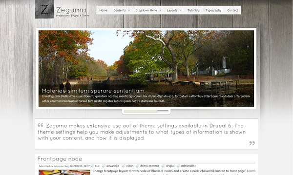 Zeguma Professional - Advanced Theme