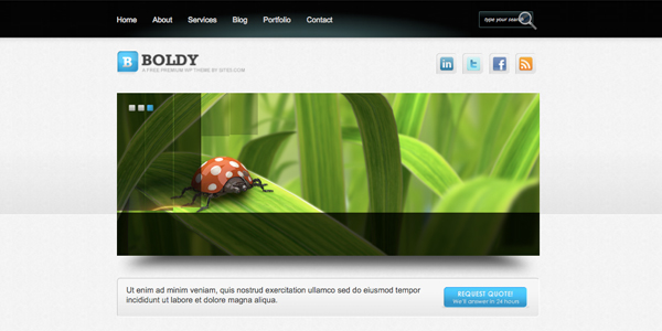 boldy 13 New and Free High Quality Wordpress Themes