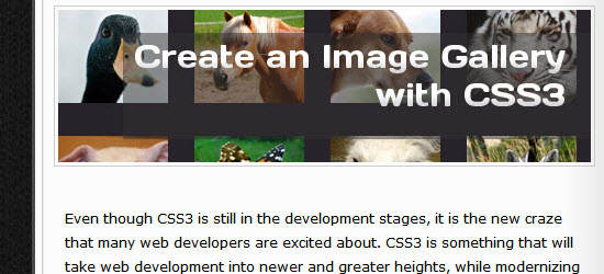 How to Create a Fancy Image Gallery with CSS3