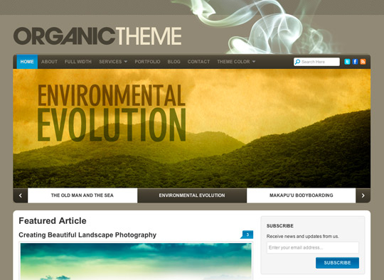 business wordpress themes