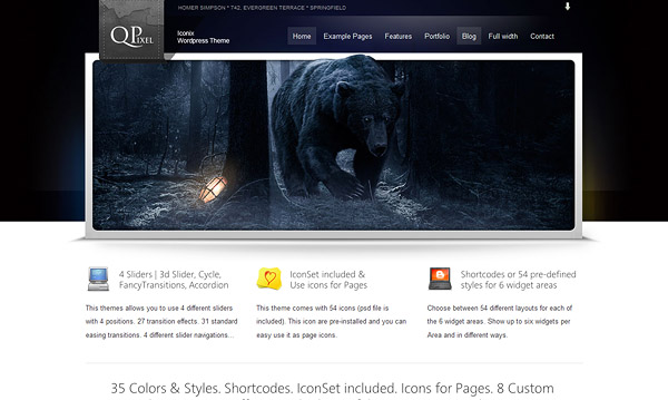 Iconix, Porfolio CMS/WP (35 themes)