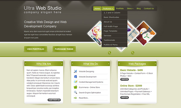 Ultra Web Studio, Blog & Portfolio WP Theme