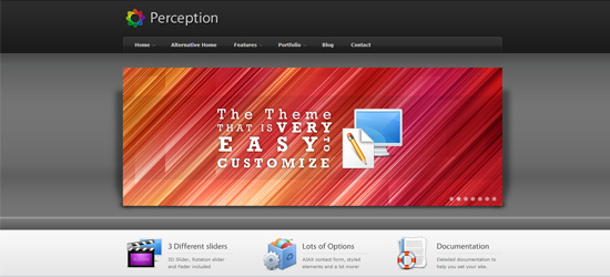 Perception 25 Brilliant Business and Portfolio WordPress Themes