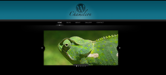 WordPress Chameleon 25 Brilliant Business and Portfolio WordPress Themes