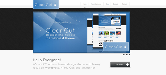 clean cut 25 Brilliant Business and Portfolio WordPress Themes