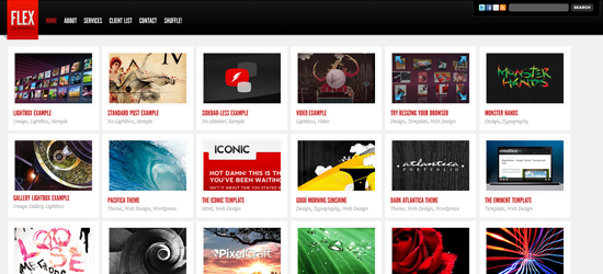 flex 25 Brilliant Business and Portfolio WordPress Themes