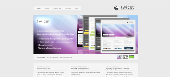 twicet 25 Brilliant Business and Portfolio WordPress Themes
