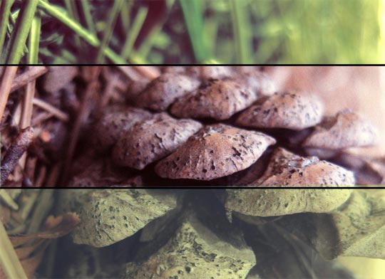 vintage photoshop actions