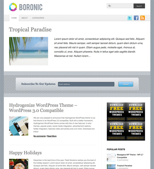 boronic 40+ Beautiful Wordpress 3.0 Ready Themes