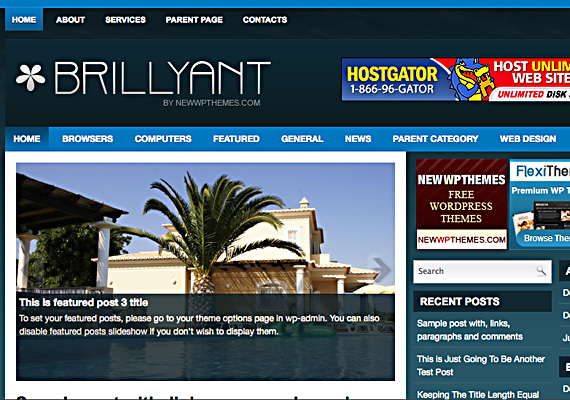 brillyant 40+ Beautiful Wordpress 3.0 Ready Themes