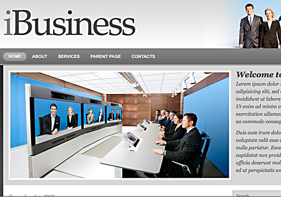 ibusiness 40+ Beautiful Wordpress 3.0 Ready Themes