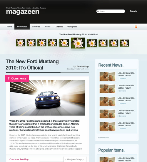 magazeen 40+ Beautiful Wordpress 3.0 Ready Themes