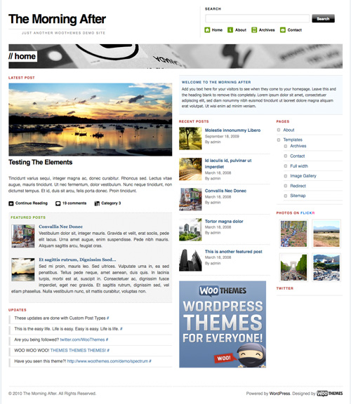 morning after 40+ Beautiful Wordpress 3.0 Ready Themes