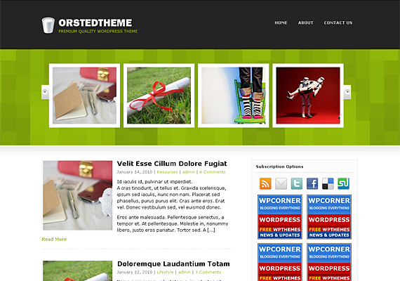 orsted theme 40+ Beautiful Wordpress 3.0 Ready Themes