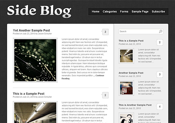 side blog 40+ Beautiful Wordpress 3.0 Ready Themes