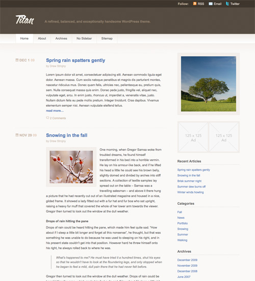 titan 40+ Beautiful Wordpress 3.0 Ready Themes