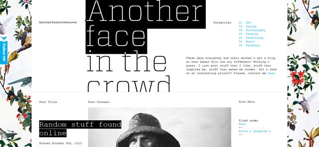 Anotherfaceinthecrowd