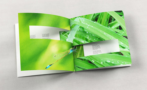 Booklet Designs - Shn Mood Booklet