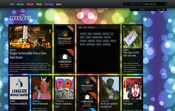 CooolZine Magazine WordPress Theme