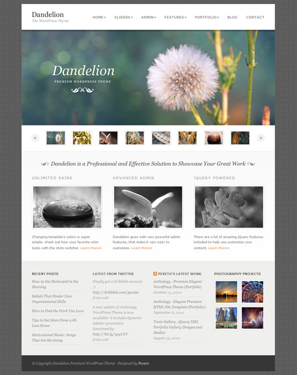 dandelion 35 Awesome Premium Wordpress Themes of November 2010