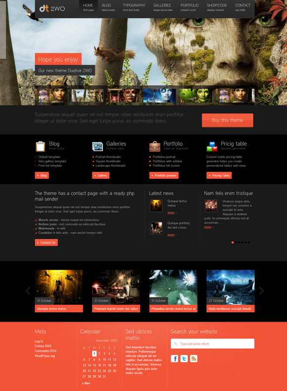 duotive 35 Awesome Premium Wordpress Themes of November 2010