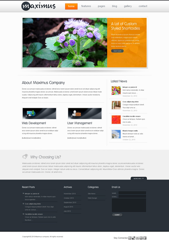 maximus wordpress theme 35 Awesome Premium Wordpress Themes of November 2010