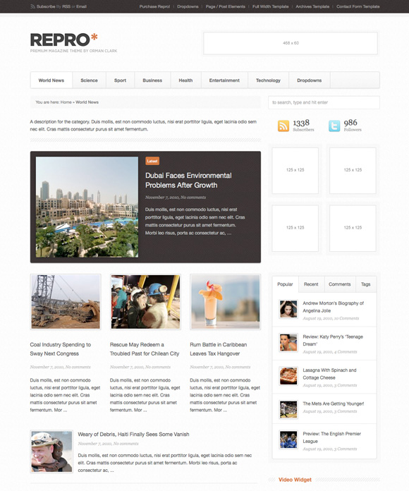 repro 35 Awesome Premium Wordpress Themes of November 2010