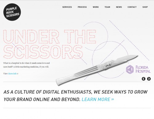 purplerockscissors 500x386 40 Quality Websites with Circular Logos