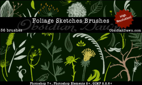 Flower_Sketches_Brushes_by_redheadstock