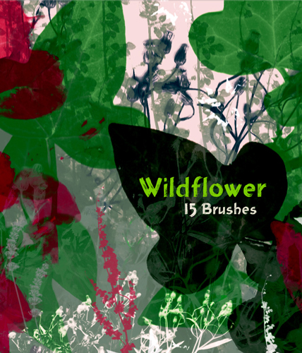 Wildflower_15_brushes_by_evashoots-d32d08l