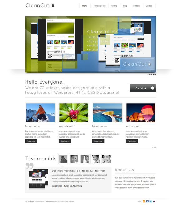 cleancut The Ultimate Roundup: 70 Best Premium WordPress Themes of 2010