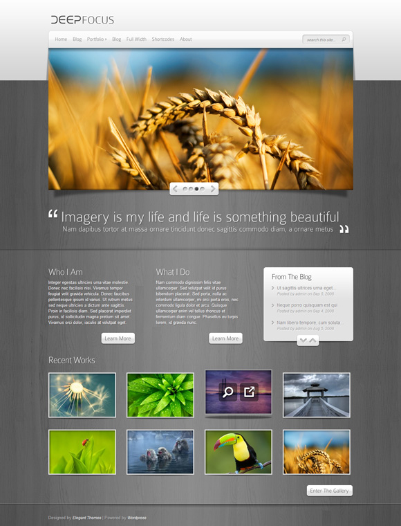 deep focus elegant themes The Ultimate Roundup: 70 Best Premium WordPress Themes of 2010