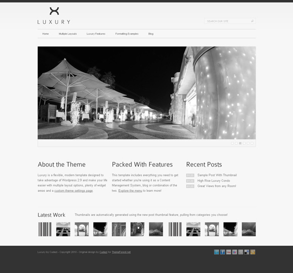 luxury The Ultimate Roundup: 70 Best Premium WordPress Themes of 2010