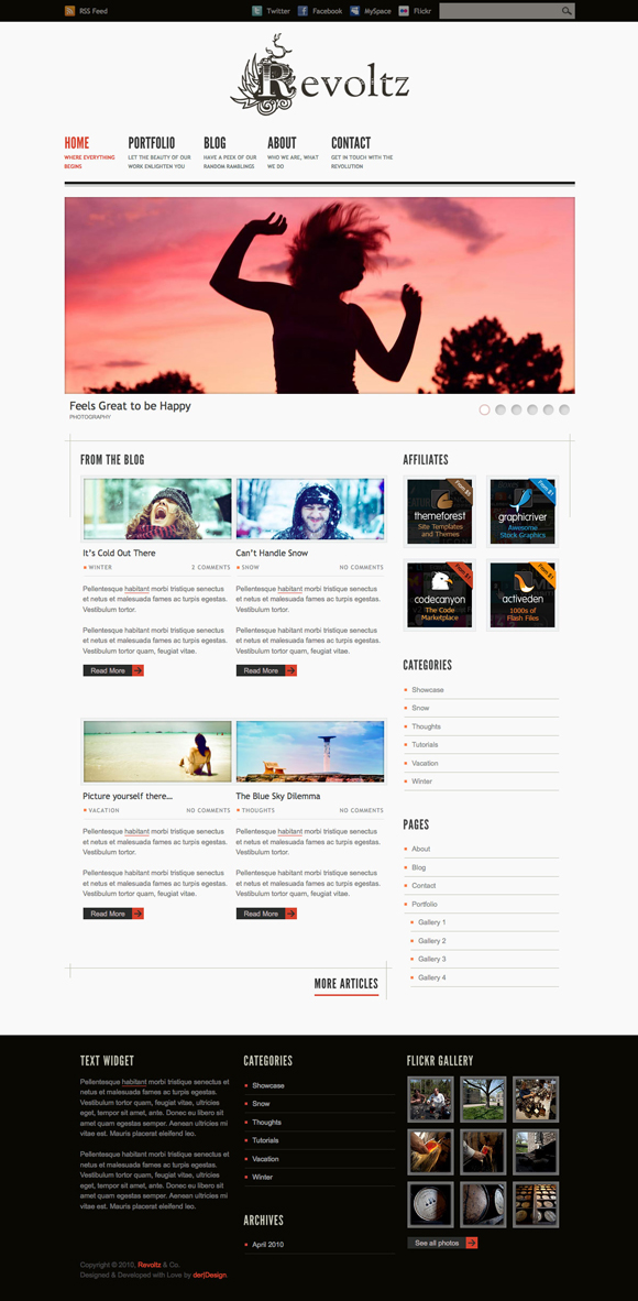 revoltz The Ultimate Roundup: 70 Best Premium WordPress Themes of 2010