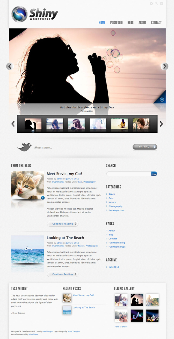 shiny wordpress theme The Ultimate Roundup: 70 Best Premium WordPress Themes of 2010