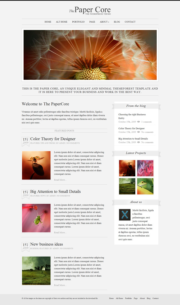 the paper core The Ultimate Roundup: 70 Best Premium WordPress Themes of 2010