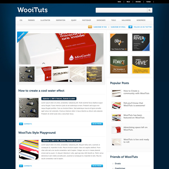 wooituts The Ultimate Roundup: 70 Best Premium WordPress Themes of 2010