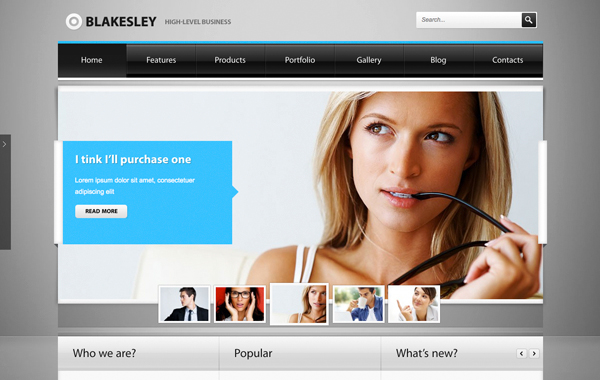 Blakesley - Premium Business & Portfolio wordpress