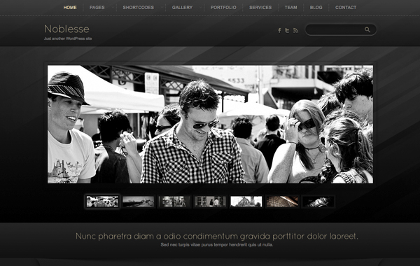 Noblesse WordPress Theme