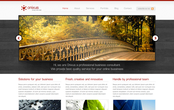 Onixus - Corporate Business WordPress Theme 3