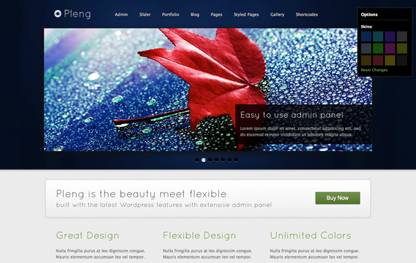 Pleng Premium WordPress Themes